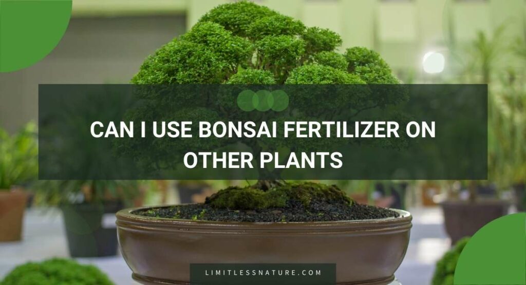 Can I Use Bonsai Fertilizer On Other Plants