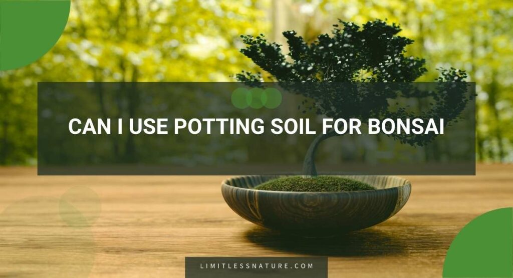 Can I Use Potting Soil For Bonsai