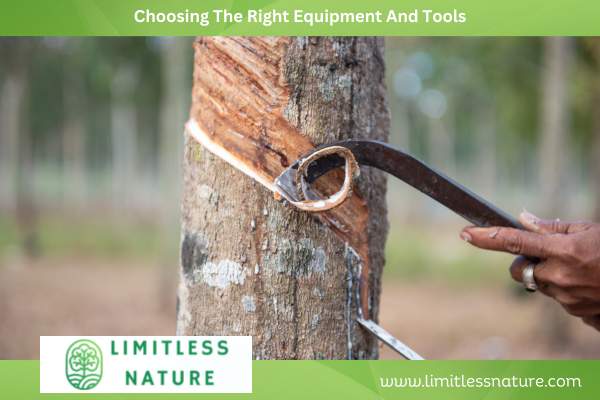 Choosing The Right Equipment And Tools