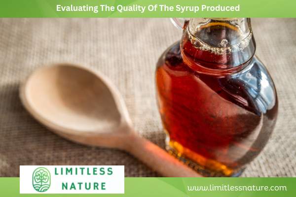 Evaluating The Quality Of The Syrup Produced