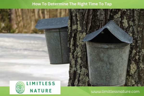 How To Determine The Right Time To Tap