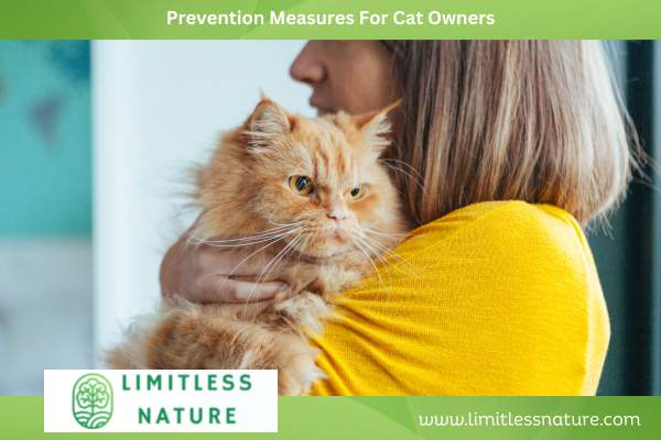 Prevention Measures For Cat Owners